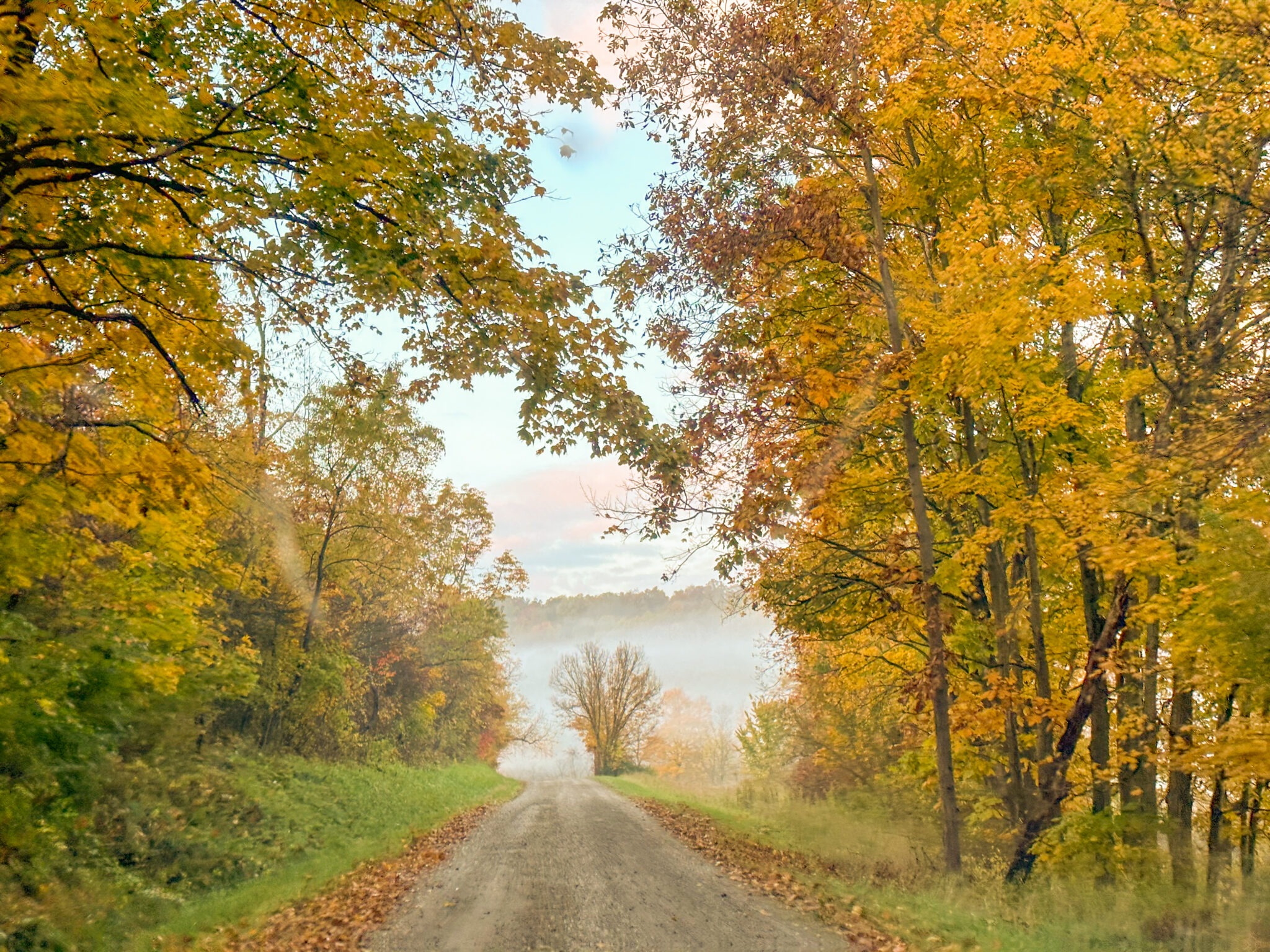Homestead Fall Fall Homestead Checklist: Preparing for Winter - At Home on the Homestead