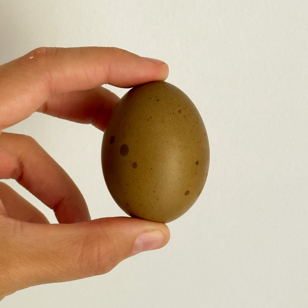 A speckled olive green pastured chicken egg