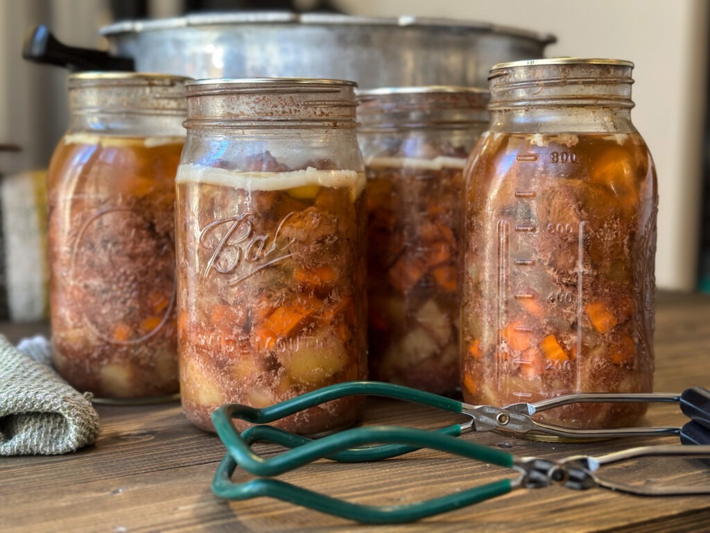 Jars of pressure canned beef stew after being removed from the canner using a jar lifter and dish rag.